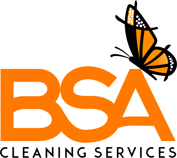 logo-oficial-bsa